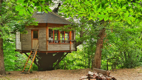 tree house