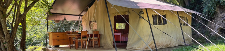 boomhut in de herfst